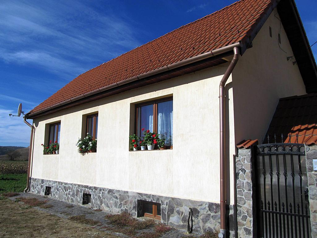 Casa Simion Villa Nagyszeben Kültér fotó